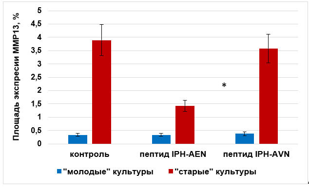 Влияние пептидов на экспрессию ММР13 в культуре хондроцитов крысы