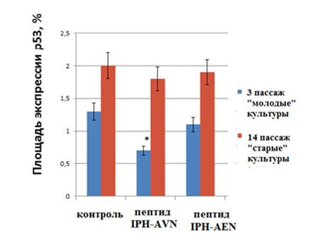 Влияние пептидов на экспрессию р53 в культуре сосудов эндотелия крысы iph avn ideal pharma